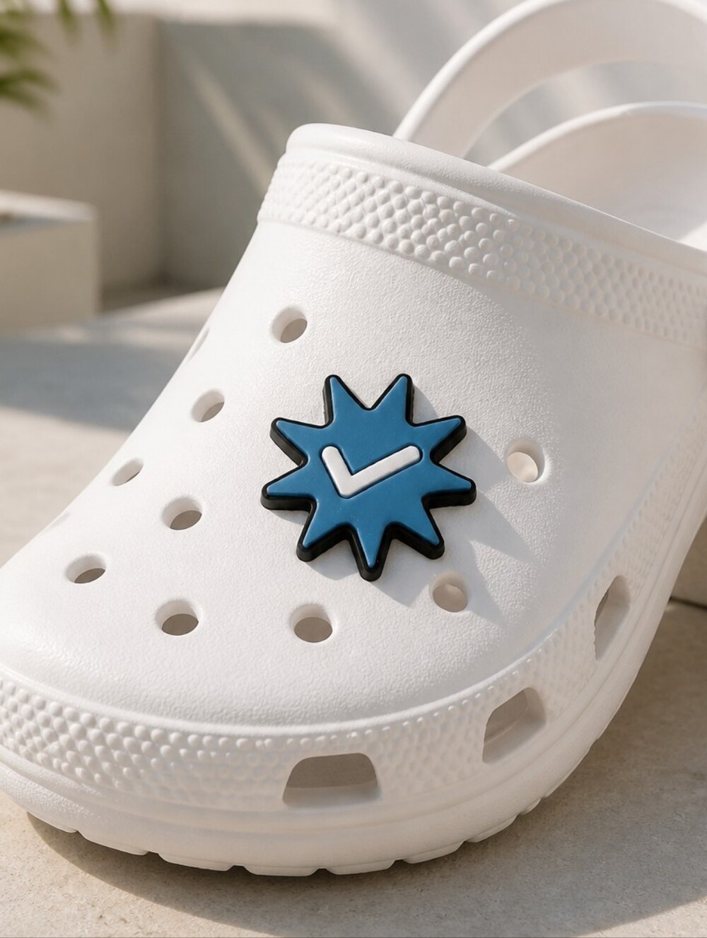 6/$20 * Shoe Charm * ✔️ Check Mark 🌟 Blue Star Rubber Band Clog Shoe Jewelry